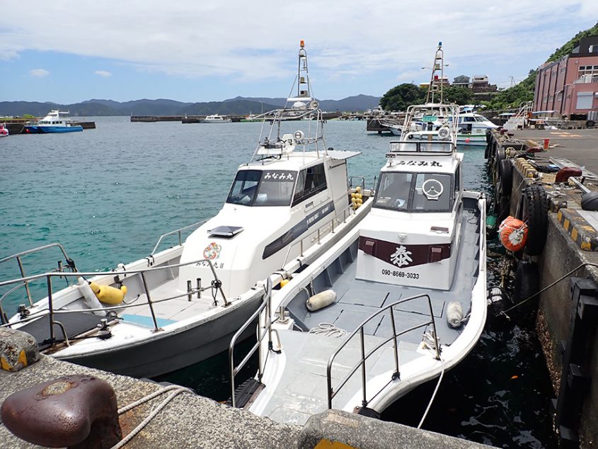 加計呂麻島への行き方【フェリーかけろま編】