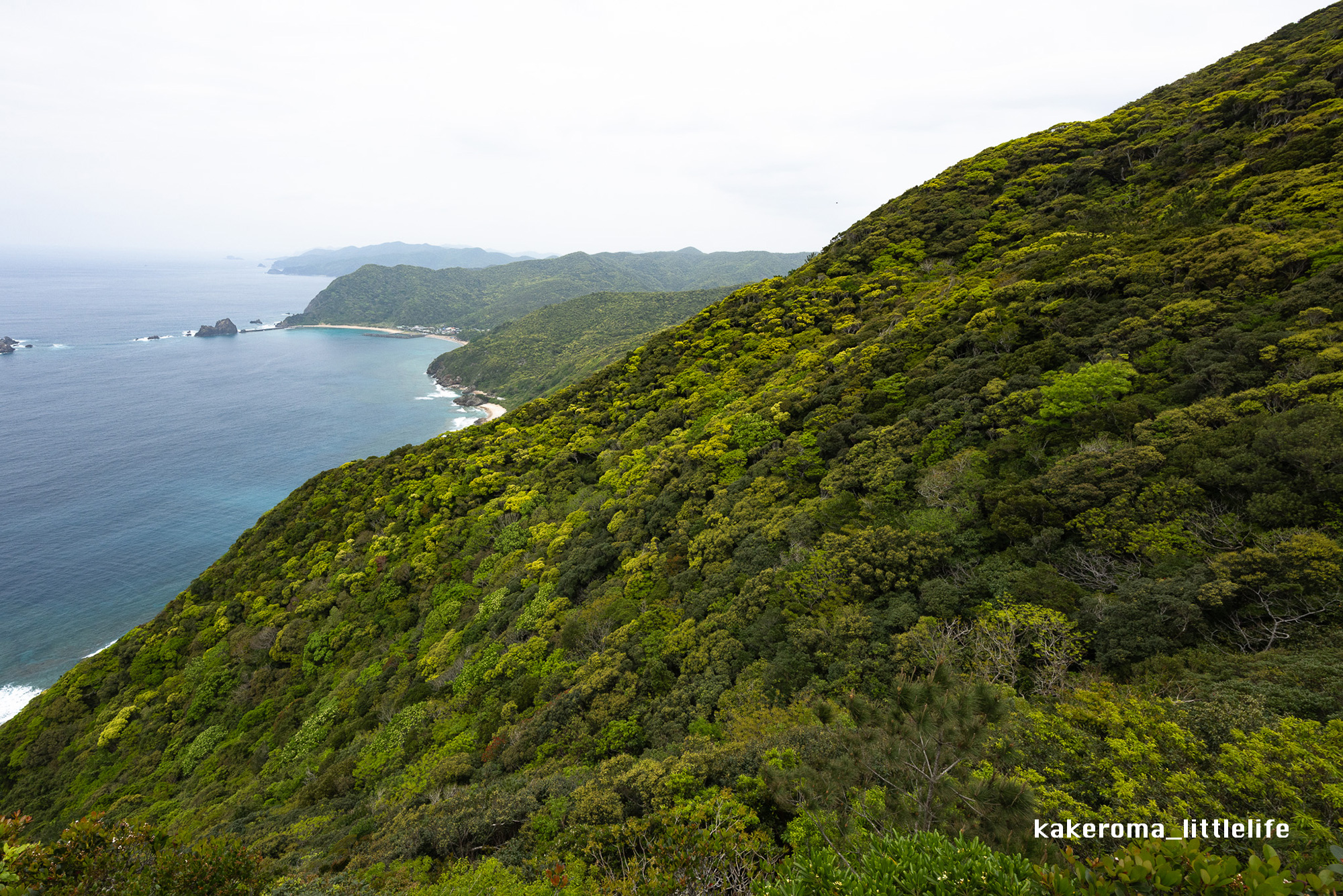 加計呂麻島の四季・天候について