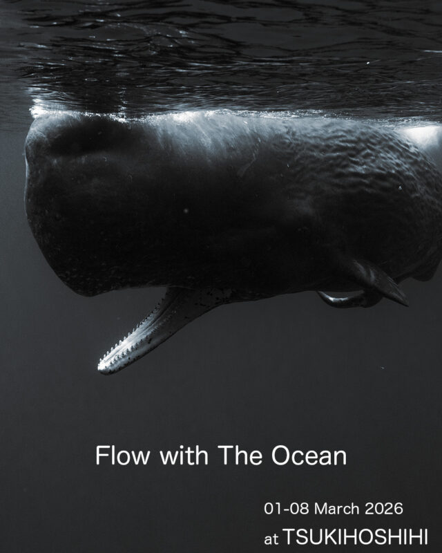 Little Life 展のお知らせ